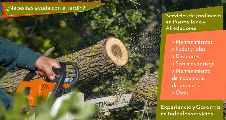 Imagen de portada